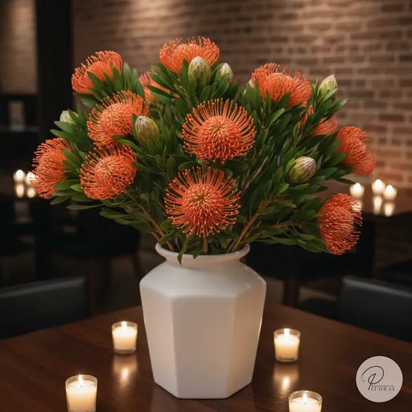Protea Pincushion Orange